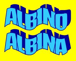 ALBINO ALBINA SIGNIFICATO DEL NOME E ONOMASTICO